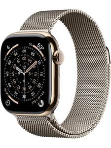 Apple Watch Series 11 LTE 42mm
