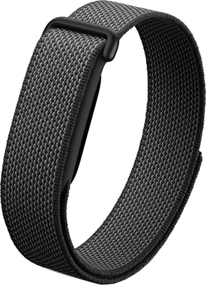 Google Fitbit Air