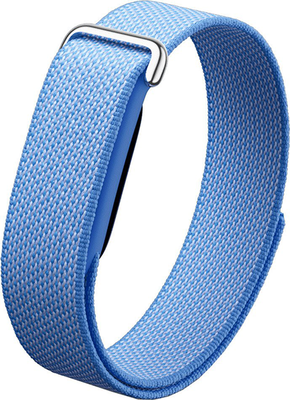 Google Fitbit Air