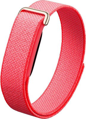 Google Fitbit Air