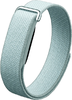 Google Fitbit Air