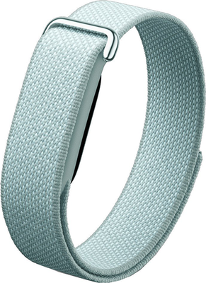 Google Fitbit Air