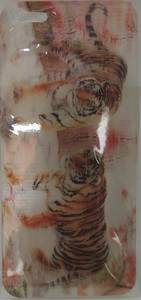 Защитная пленка Colorful для Iphone 5S