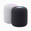 Умная колонка Apple HomePod 2