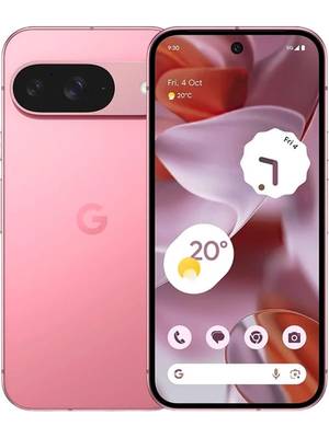 Google Pixel 9 256GB