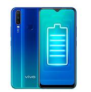 Vivo Y12