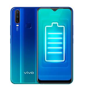 Vivo Y12