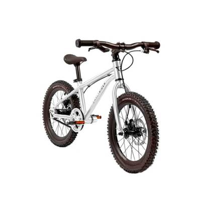 Детский велосипед Early Rider Belter 16 Trail T16/B-T1