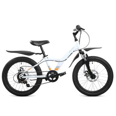 Детский велосипед Forward Dakota 20 2.0 D 2022