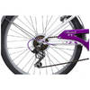 Велосипед Novatrack Butterfly 24 р.13