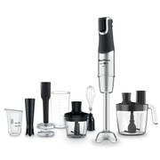 Погружной блендер Moulinex InfinyForce Pro DD95MD10