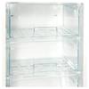 Холодильник Snaige RF31NG-P0002F