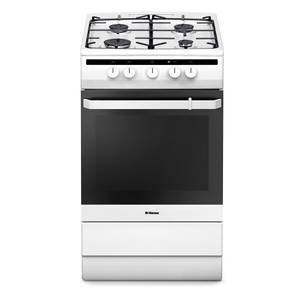 Кухонная плита Hansa FCGW51001