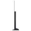 LG C2 OLED55C21LA