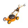 Колёсная газонокосилка AS-Motor AS 53 2T ES 4WD RB Колёсная газонокосилка AS-Motor AS 53 2T ES 4WD RB
