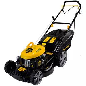 Колёсная газонокосилка Champion LM5345