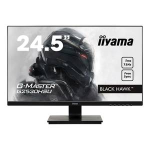 Iiyama G-Master G2530HSU-B1
