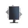 NEC MultiSync P212-BK