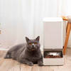 Кормушка электрическая Xiaowan Kitten&Puppy Smart Pet Feeder