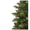 Ель GreenTerra Бовари 2.5 м