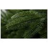 Ель GreenTerra Калифорнийская 1.8 м