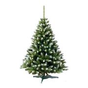 Ель GreenTerra канадская с белыми кончиками 2.2 м