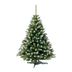 Ель GreenTerra канадская с белыми кончиками 2.2 м