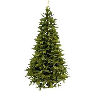 Ель GreenTerra Премиум 1.8 м