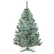 Сосна Erbis с белыми кончиками 1.8 м