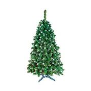 Сосна GreenTerra Сибирская с молодыми побегами (серебристый) 2.2 м