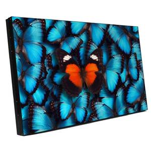 Информационная панель Barco OverView LVD5521B