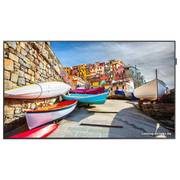 Информационный дисплей Samsung PM49H