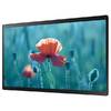 Интерактивная панель Samsung QB24R-T