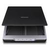 Сканер Epson Perfection V19