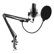 Микрофон Ritmix RDM-169