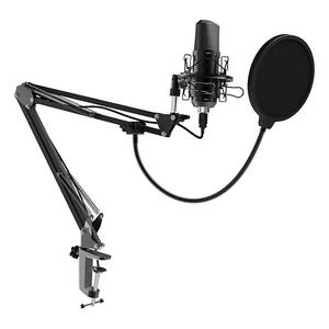 Микрофон Ritmix RDM-169