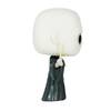 Фигурка Funko Harry Potter Voldemort