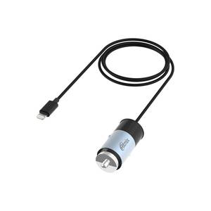 Автомобильное зарядное Ritmix RM-5240AP Gunshell