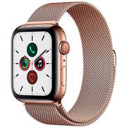 Apple Watch Series 5 LTE Stainless Steel