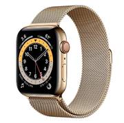 Apple Watch Series 6 40mm LTE Milanese Loop