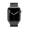 Apple Watch Series 7 41mm LTE Milanese Loop