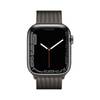 Apple Watch Series 7 45mm LTE Milanese Loop
