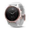 Garmin Fenix 5S 42mm