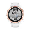 Garmin Fenix 6s Pro
