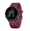 Garmin Forerunner 245