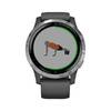 Garmin Vivoactive 4
