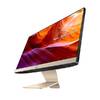 ASUS Vivo AiO V222FAK-BA061D