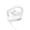 Beats Powerbeats3 Wireless