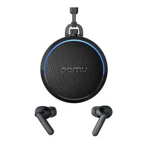 Padmate PaMu Quiet T10