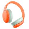 Sony WH-H910N